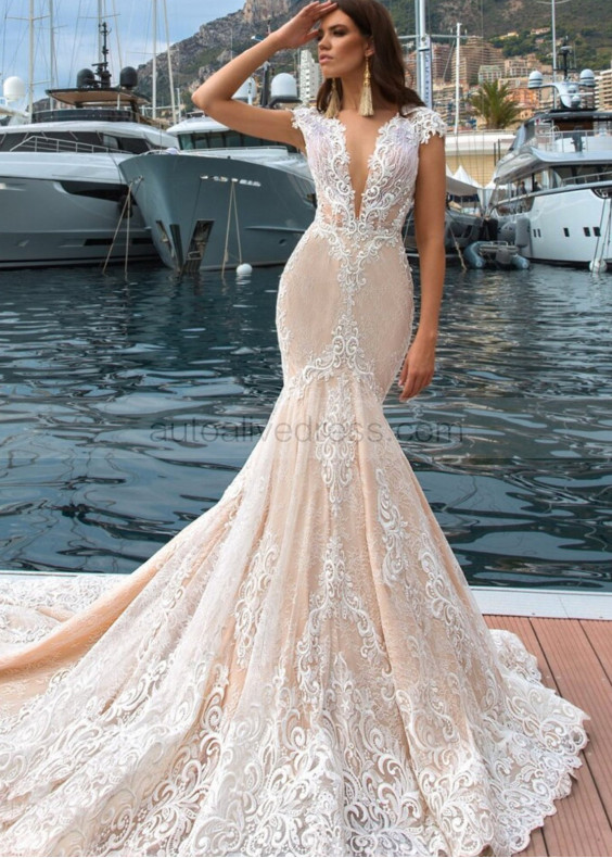 V Neck Ivory Lace Tulle Wedding Dress With Champagne Lining V Neck Ivory Lace Tulle Wedding Dress With Champagne Lining